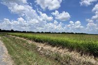 Land for sale in Acadia Parish, Louisiana