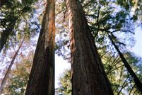 Homesite for sale in Tulare County, California