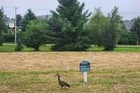 Homesite for sale in Dane County, Wisconsin