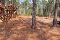 Land for sale in Bladen County, North Carolina