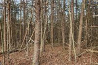 Land for sale in Allegany County, Maryland