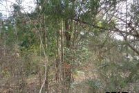 Land for sale in Wood County, Texas