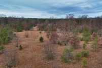 Land for sale in Manistee County, Michigan