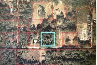 Undeveloped Land for sale in Levy County, Florida
