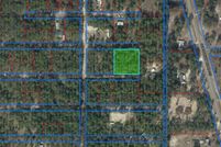 Undeveloped Land for sale in Levy County, Florida