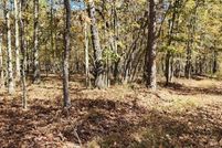 Land for sale in Bartow County, Georgia