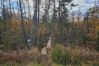 Land for sale in Shawano County, Wisconsin