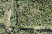 Undeveloped Land for sale in Flagler County, Florida