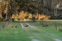 Land for sale in Putnam County, Florida