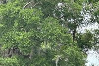 Land for sale in Alachua County, Florida