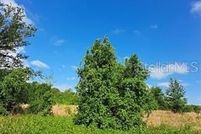 Land for sale in Lake County, Florida