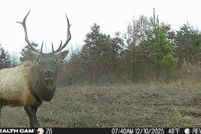 Land for sale in Johnson County, Kentucky