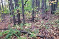 Undeveloped Land for sale in Blair County, Pennsylvania