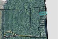 Land for sale in Charlton County, Georgia
