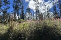 Land for sale in Hawaii County, Hawaii