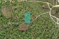 Land for sale in Polk County, Florida