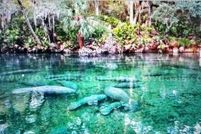 Homesite for sale in Volusia County, Florida