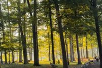 Land for sale in Schuylkill County, Pennsylvania