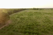 Homesite for sale in Camp County, Texas