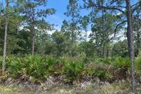 Land for sale in Polk County, Florida