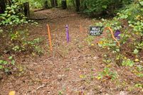 Land for sale in Dallas County, Arkansas