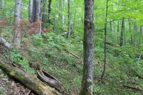 Undeveloped Land for sale in Iron County, Wisconsin