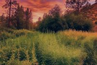 Land for sale in Lincoln County, Washington