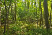 Homesite for sale in Itasca County, Minnesota