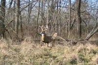 Land for sale in Ray County, Missouri