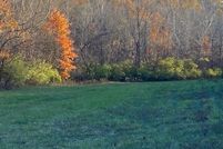 Land for sale in Bracken County, Kentucky