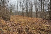 Undeveloped Land for sale in Wetzel County, West Virginia
