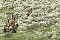 Land for sale in Gunnison County, Colorado