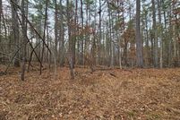 Land for sale in Amherst County, Virginia