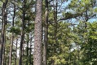 Land for sale in McCurtain County, Oklahoma