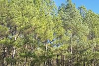 Land for sale in McCurtain County, Oklahoma