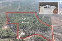 Land for sale in Randolph County, Alabama