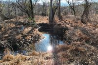 Land for sale in Person County, North Carolina