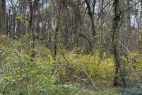 Land for sale in Fulton County, Georgia