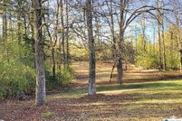 Land for sale in Shelby County, Alabama