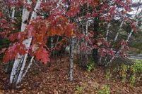 Land for sale in Washington County, Maine