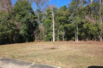 Land for sale in Dallas County, Alabama