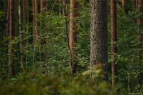 Land for sale in Dutchess County, New York