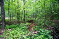 Land for sale in Lumpkin County, Georgia