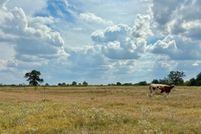 Land for sale in Bastrop County, Texas