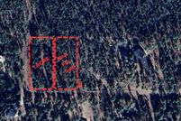 Land for sale in Navajo County, Arizona