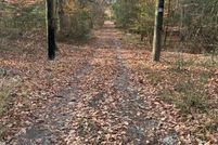 Homesite for sale in Florence County, South Carolina