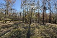 Land for sale in Evangeline Parish, Louisiana