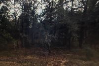 Land for sale in Citrus County, Florida