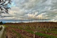 Land for sale in Hood River County, Oregon