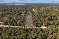 Land for sale in Levy County, Florida
